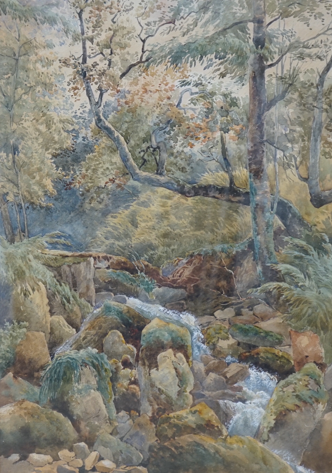 Follower of John Ruskin (1819-1990), heightened watercolour, Woodland stream, 49 x 34cm